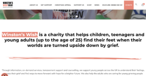 Read more about the article Winston’s Wish