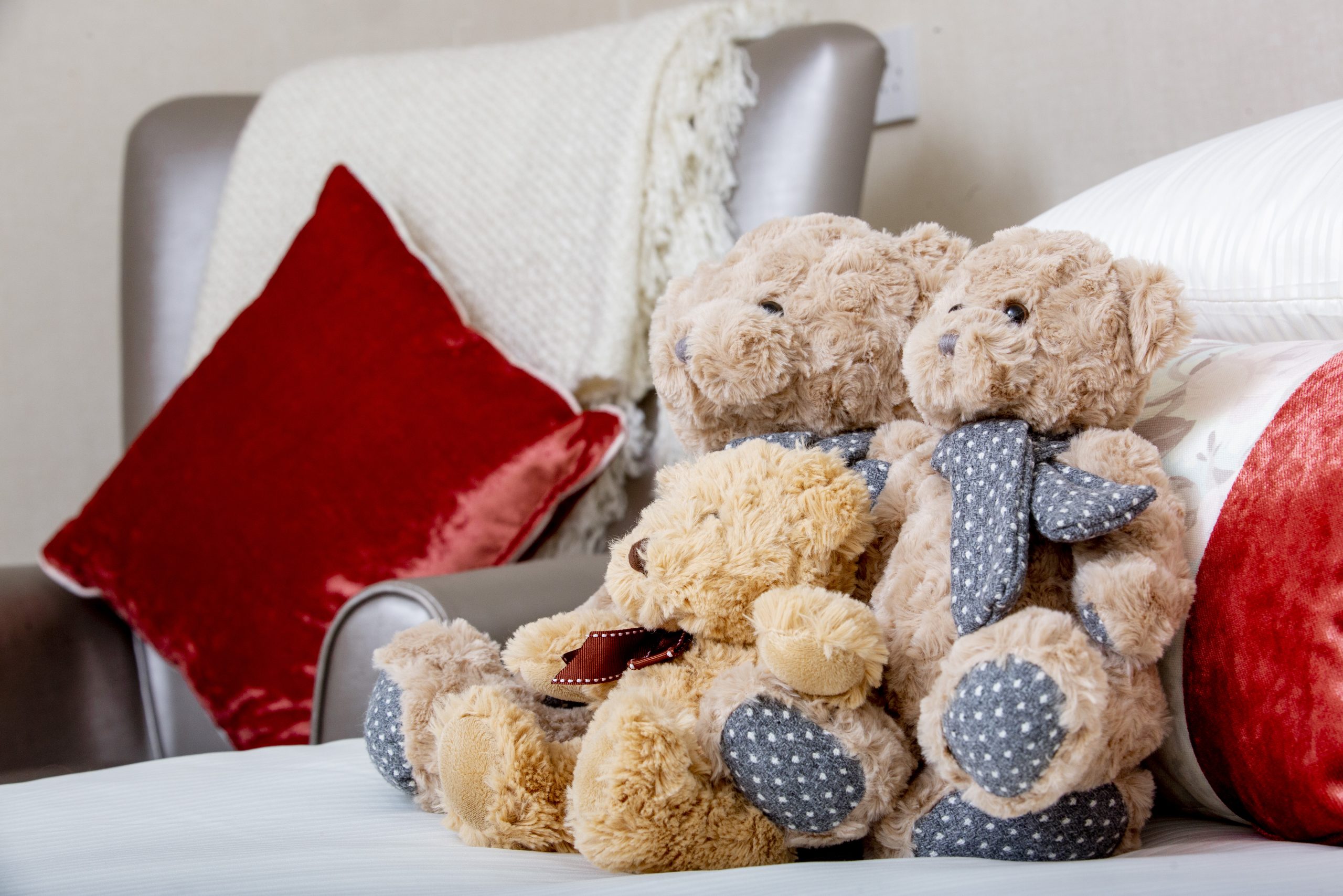 Teddy 2